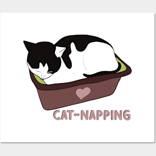 Cat-Napping Chronicles Posters and Art